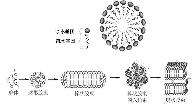 聚合物膠束技術(shù)及國產(chǎn)輔料供應(yīng)
