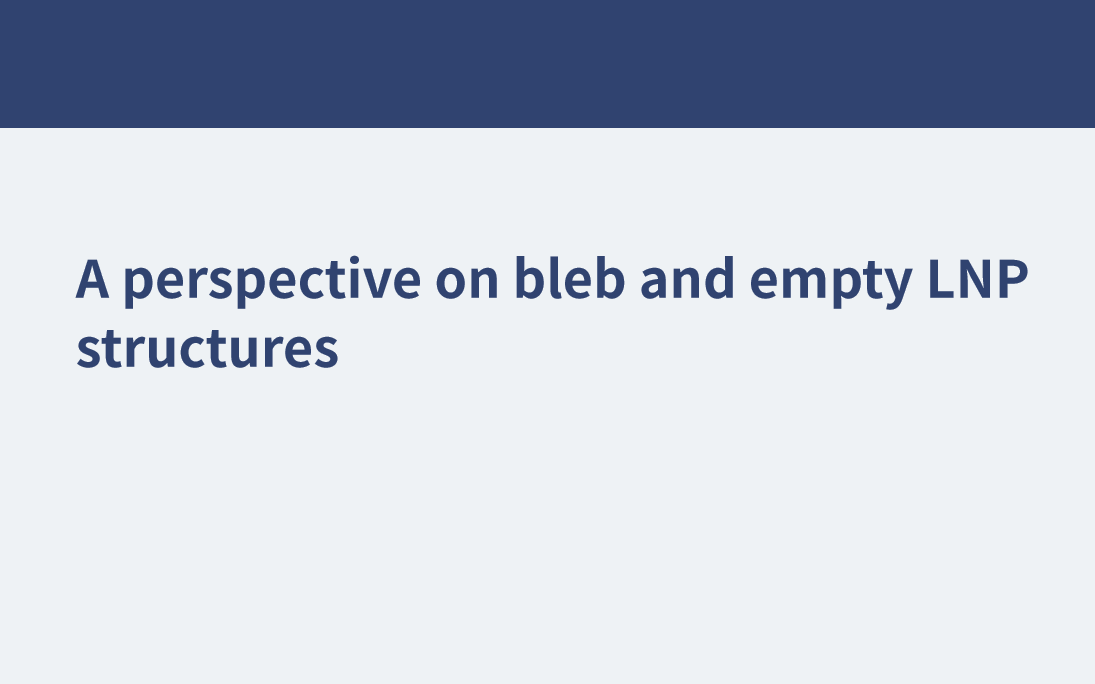 氣泡和空LNP結(jié)構(gòu)的透視