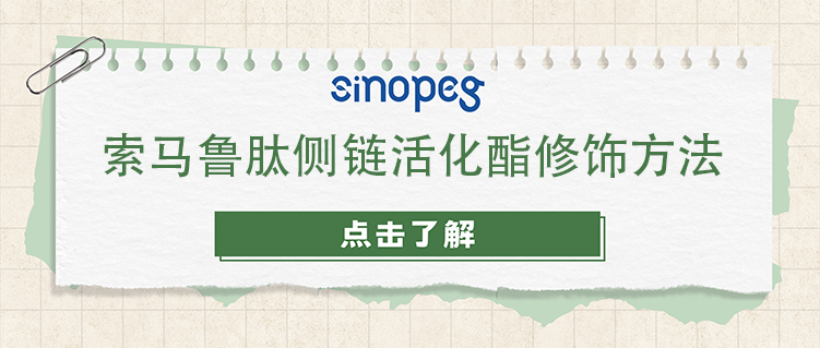 索馬魯肽側(cè)鏈